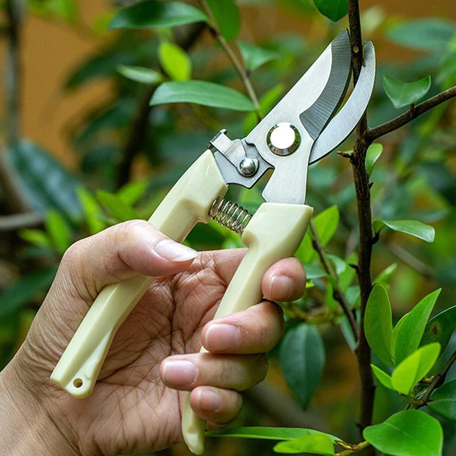 02_0b4c23b3-f74f-4471-b325-87e23bc8f37a.jpg Plant Cutter for Home Garden, Wood Bran (1 Pc) - Image 1