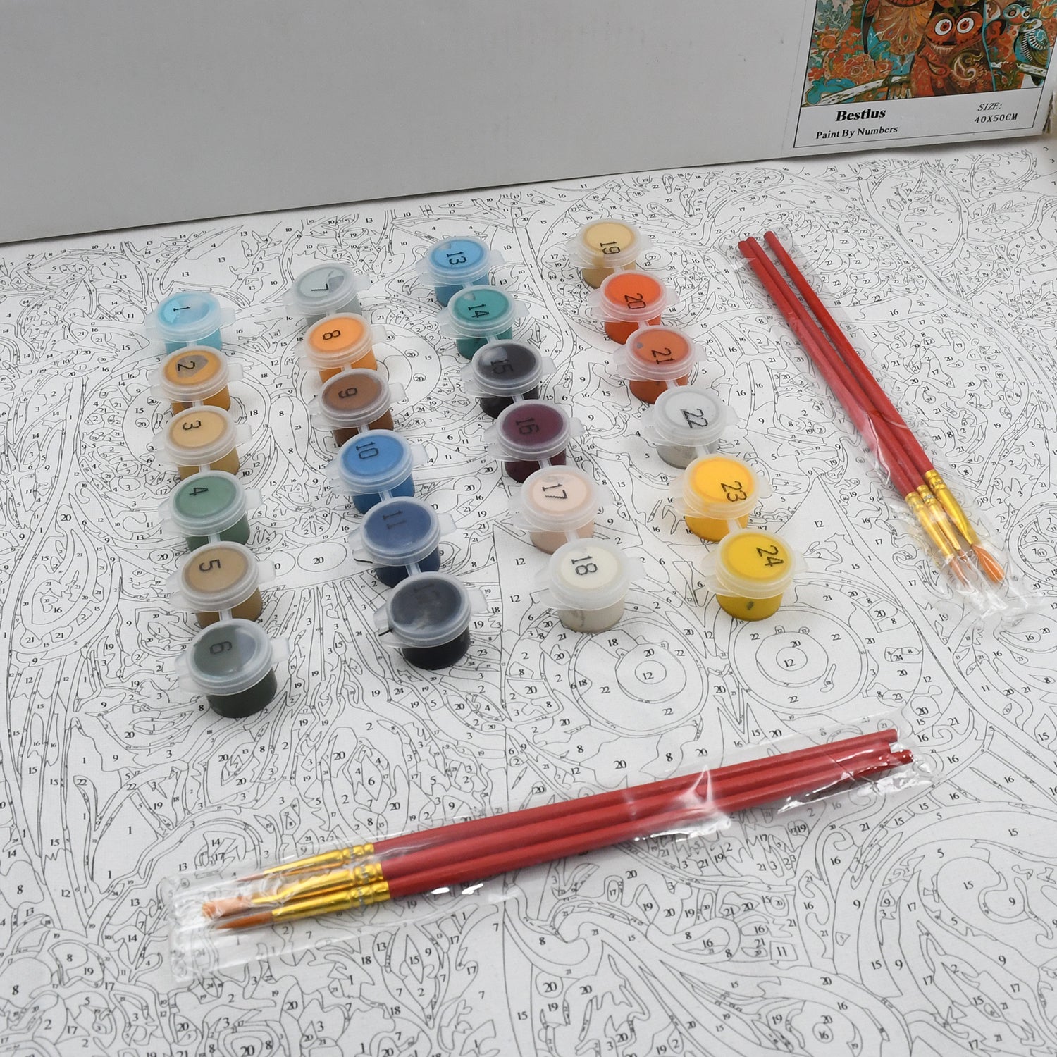 02_1bb2f942-a9cd-4ff7-bc86-9df6024eaa41.jpg Paint by Numbers for Adults Beginner - Adults' Paint-by-Number Kits on Canvas - DIY Oil Painting by Numbers for Adults - 24 Number Color, 6 paintbrushes, pre-printed canvas (unframed) 40 cm x 50 cm - Image 1