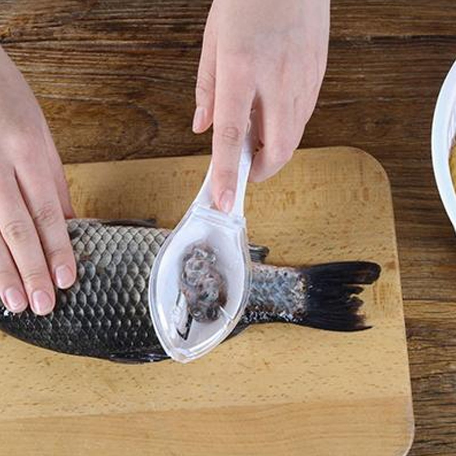 02_1eae53e6-4cf2-454c-8f17-49c0e1196709.jpg Fish Scale Scraper Peeler Fish Tools Kitchen - Image 1