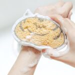 Compressed Wood Pulp Sponge