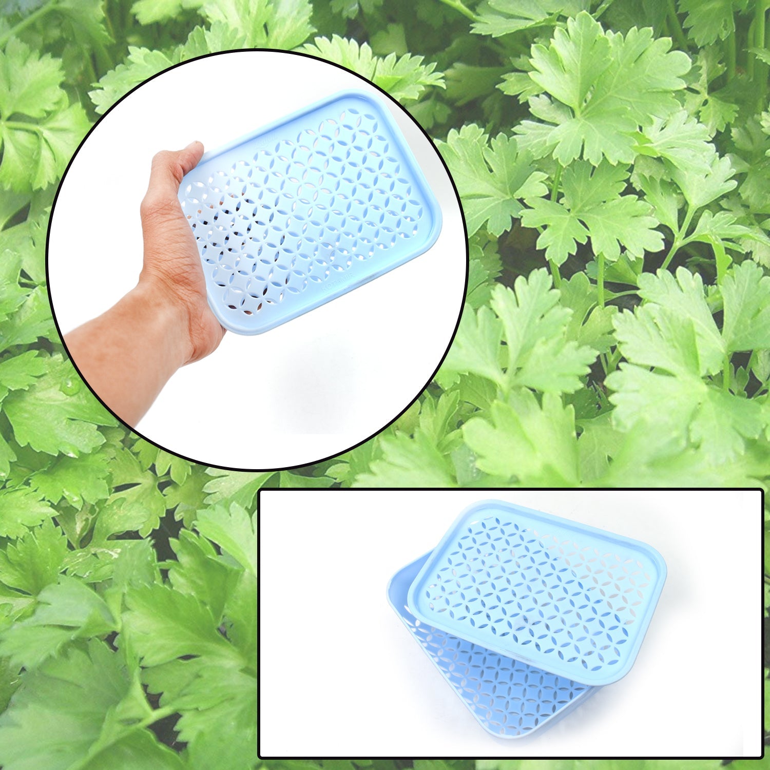 05_3c7a4a21-8c93-4154-8e52-9ec40c4dda1f.jpg 1 Pc Kothmir Basketused in all types of household places - Image 1