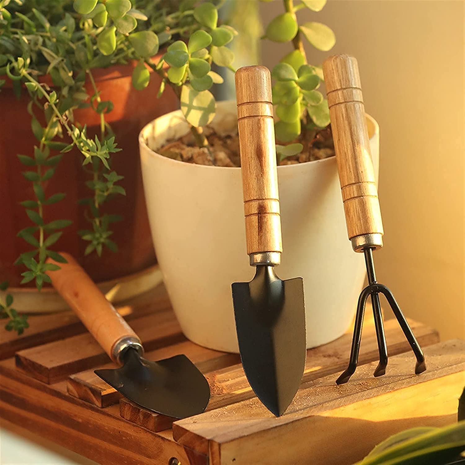 05_4d8d3881-8e8a-4ec9-ae84-c70b07af3166.jpg Small sized Hand Cultivator, Small Trowel, Garden Fork (Set of 3) - Image 1