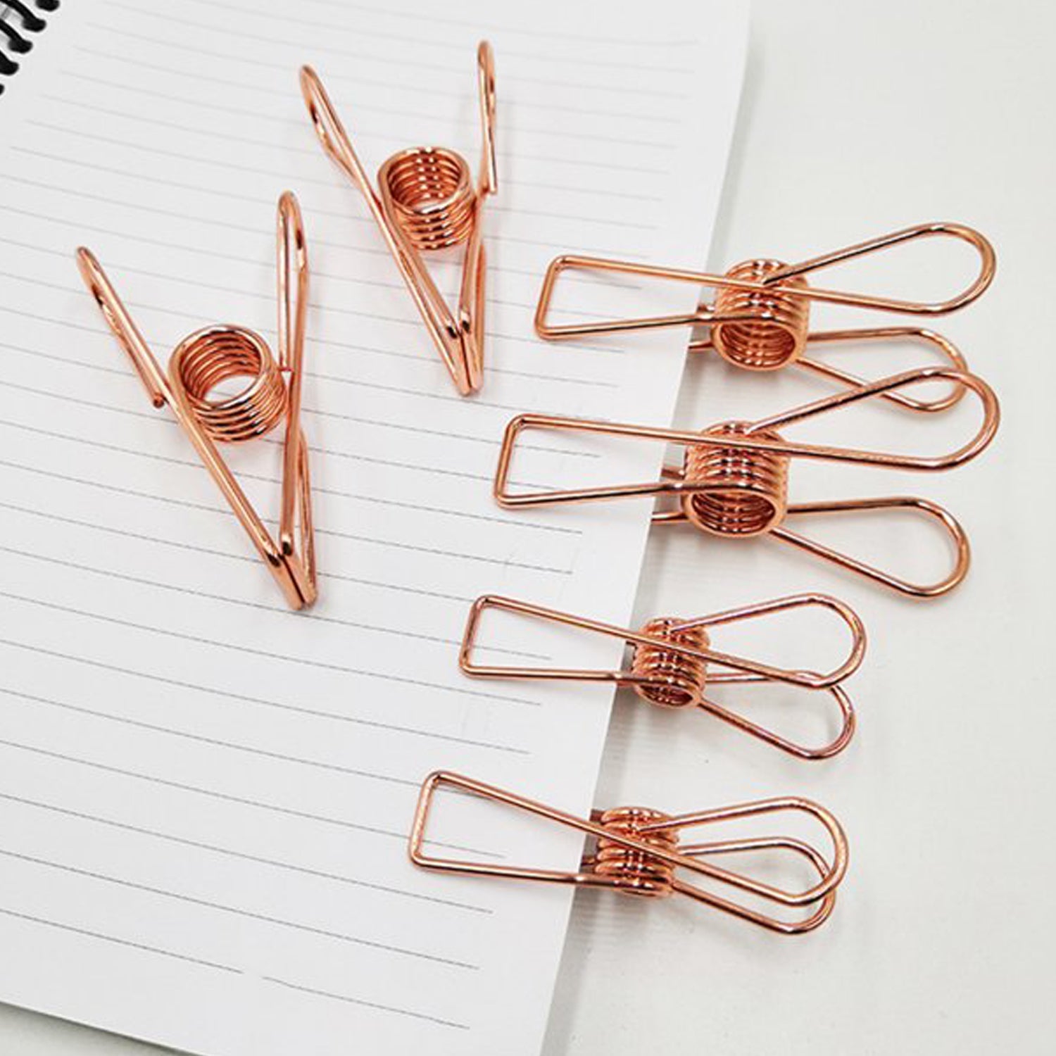 05_e2396690-47a9-4a32-a76f-1b1c802fa4a0.jpg Stainless Steel Multipurpose Sturdy Clothes Hanging Clips - Image 1