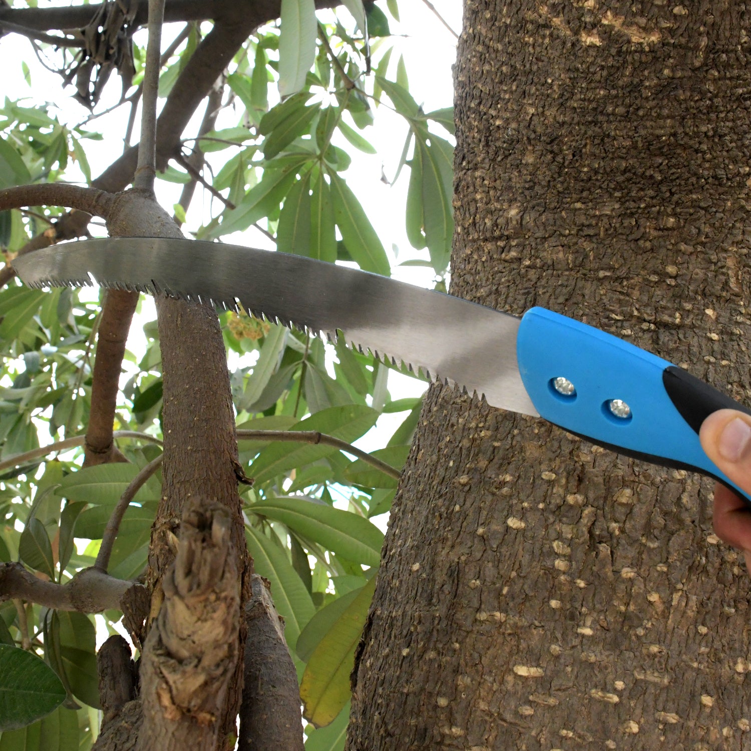 08_b473b76e-b02d-4f03-ad7a-59809fa06690.jpg 20-Inch High Carbon Steel Pruning Saw – Sharp Teeth, Cover Included - Image 1