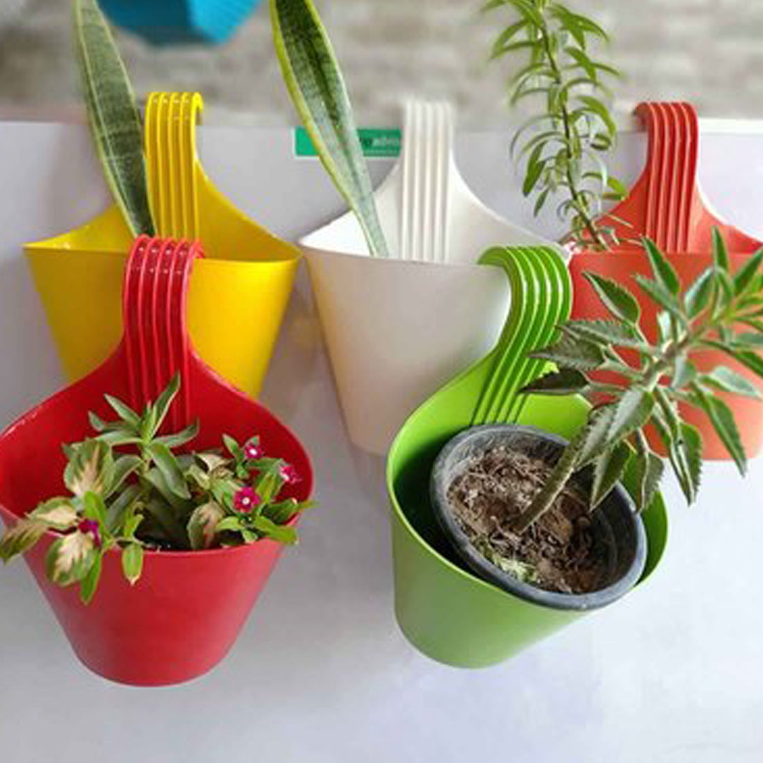 10_271e96a5-eaf0-4474-bef7-52324e41c796.jpg Hanging Planter Pot used for storing and holding plants - Image 1