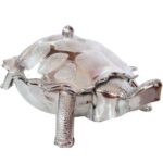 Multipurpose Tortoise Shape Dry Fruit / Gift Box
