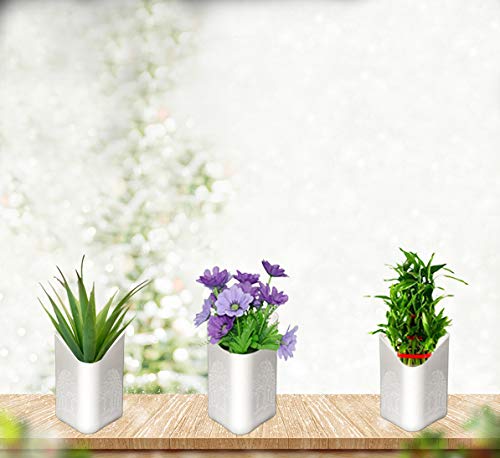 41tCNDRxhOL.jpg Plastic Vertical Hanging Planter Pot, Multicolour, - Image 1