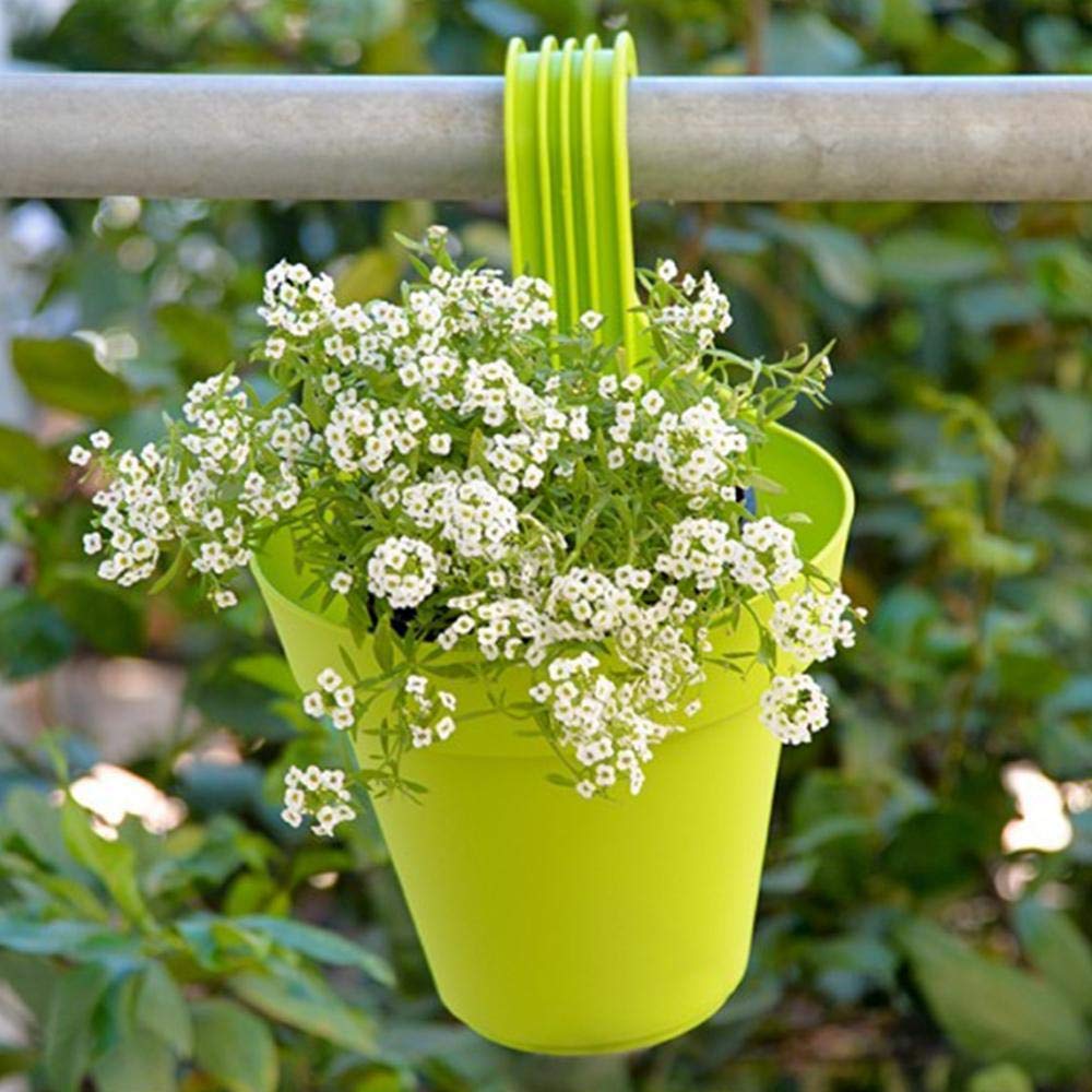 61qi2va8I4L._SL1000_1024x1024_fbb51606-77f9-4c2c-91e3-04b21b22adb6.jpg Plastic Hanging Planter Pot, Multicolour, - Image 1