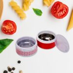 2 Layer Insulated Lunch Box Tiffin
